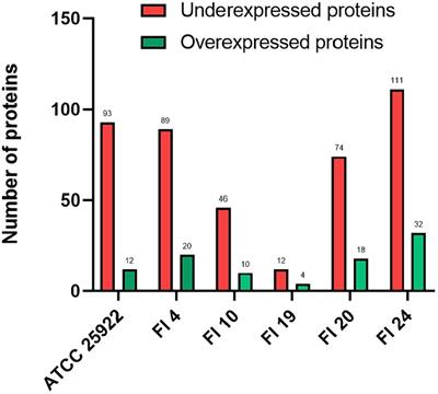 Impact of suppression of the SOS response on protein expression in clinical isolates of Escherichia coli under antimicrobial pressure of ciprofloxacin